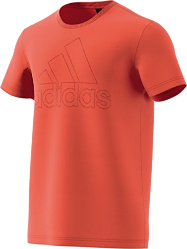 adidas Herren Badge of Sport ID Kurzarm-Shirt, Raw Amber, XL