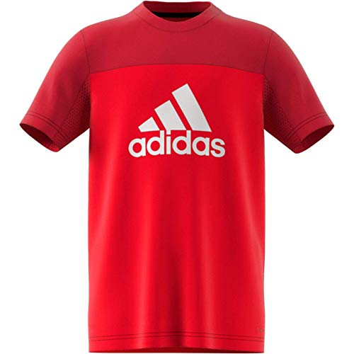 Adidas Herren-Equip-T-Shirt