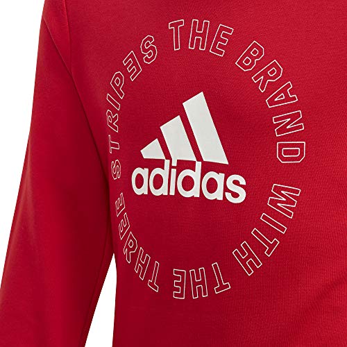 Adidas Girls G Bold Crew Mädchen-Sweatshirt